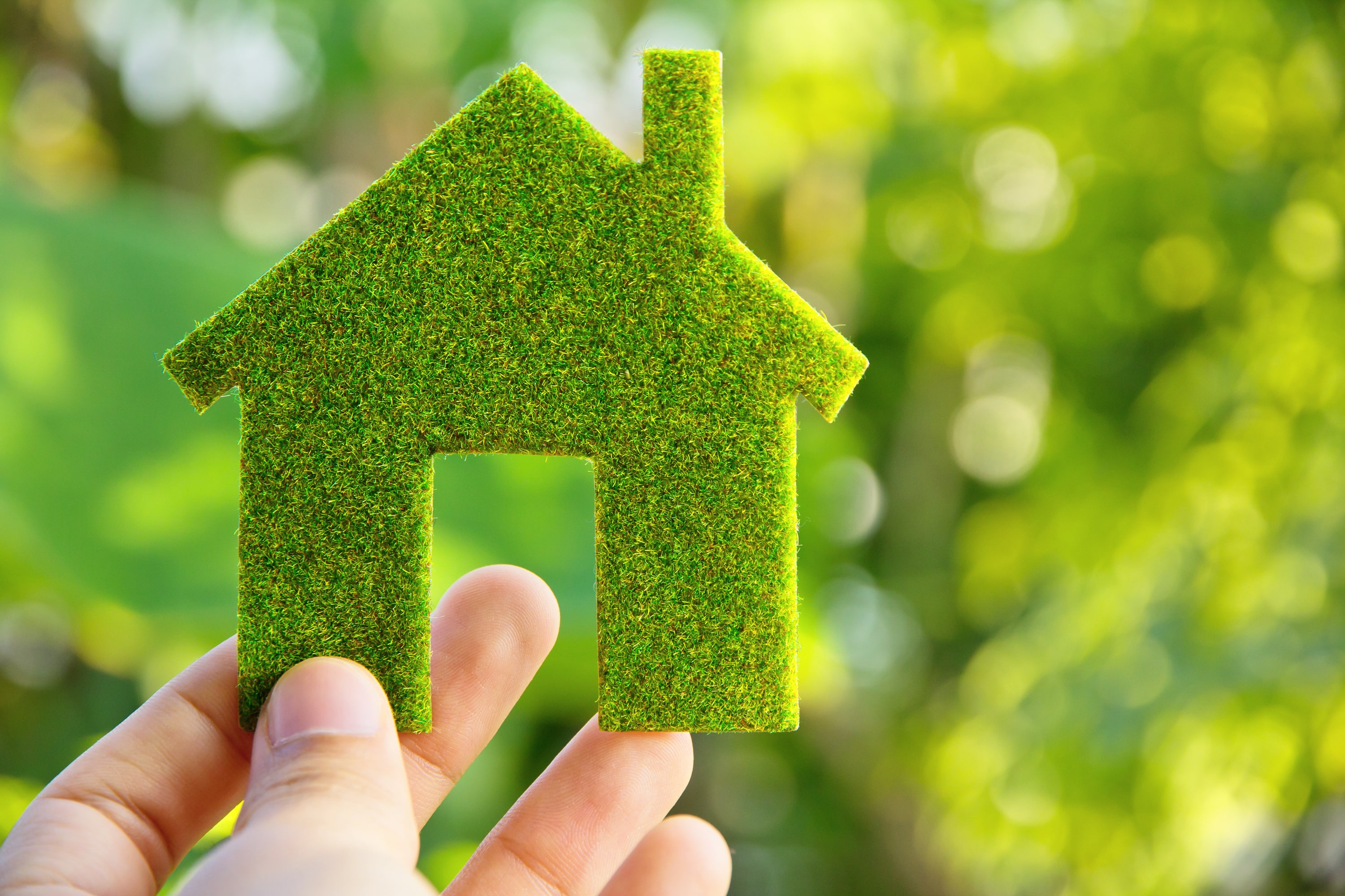 Small green House out of grass to symbolise eco-friendliness